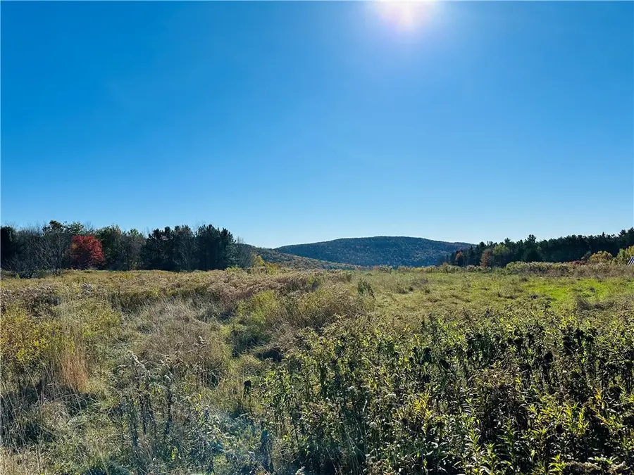 0 Macgibbon Road, Walton, NY 13856 - Image #2