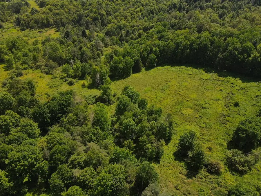 Ramey Road, Pittsfield, NY 13411 - Image #2