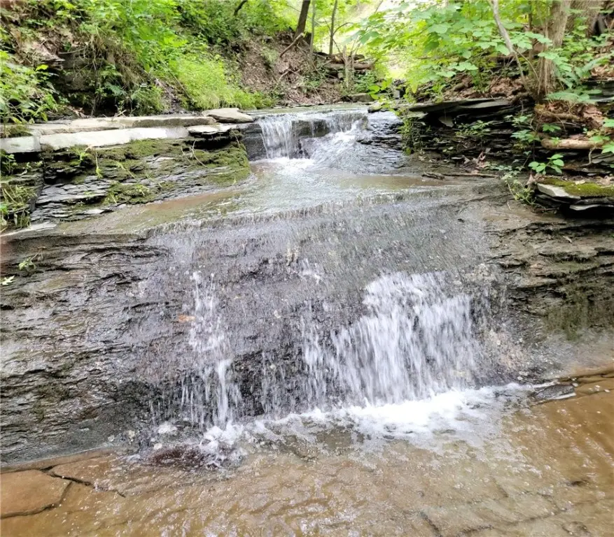 4 Red Cedar Falls Lane, Dundee, NY 14837 - Image #2