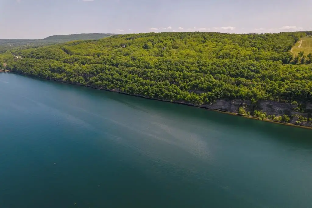 0 State Route 414, Hector, NY 14841 - Image #1