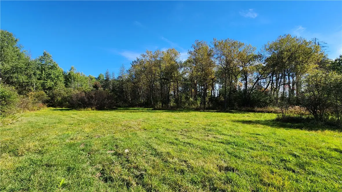 0 Wagner Road, Dansville, NY 14437 - Image #1