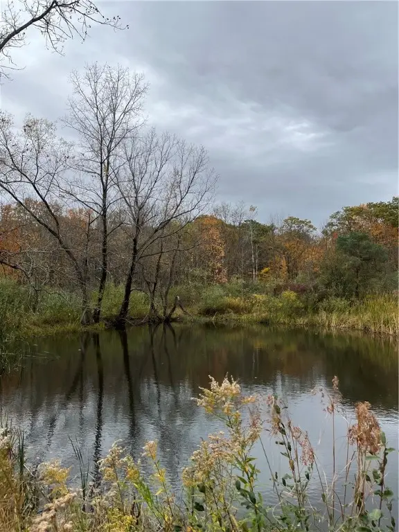 0 Voorheis Road, Trumansburg, NY 14886