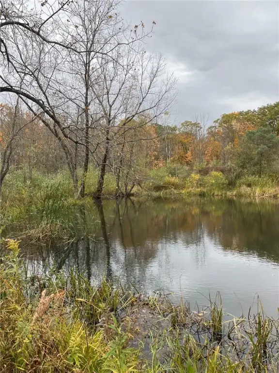 0 Voorheis Road, Trumansburg, NY 14886 - Image #3