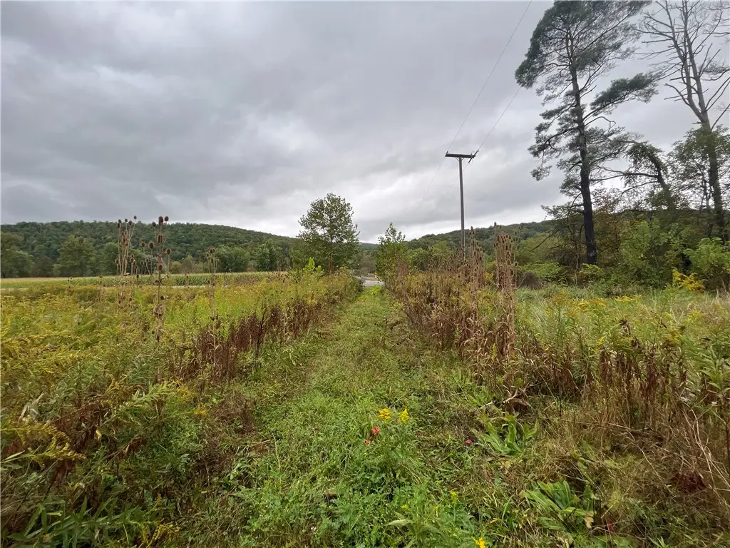 State Route 34, Barton, NY 13734 - #1