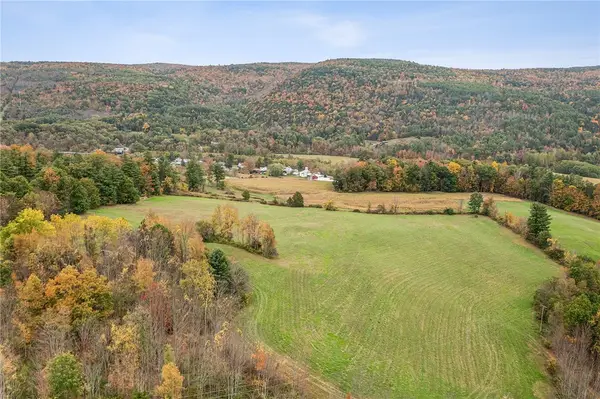 171 Westkill Road, North Blenheim, NY 12131