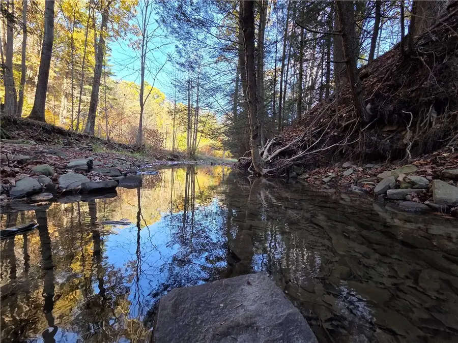 147 Clark Hollow Road, Pine City, NY 14871 - Image #2