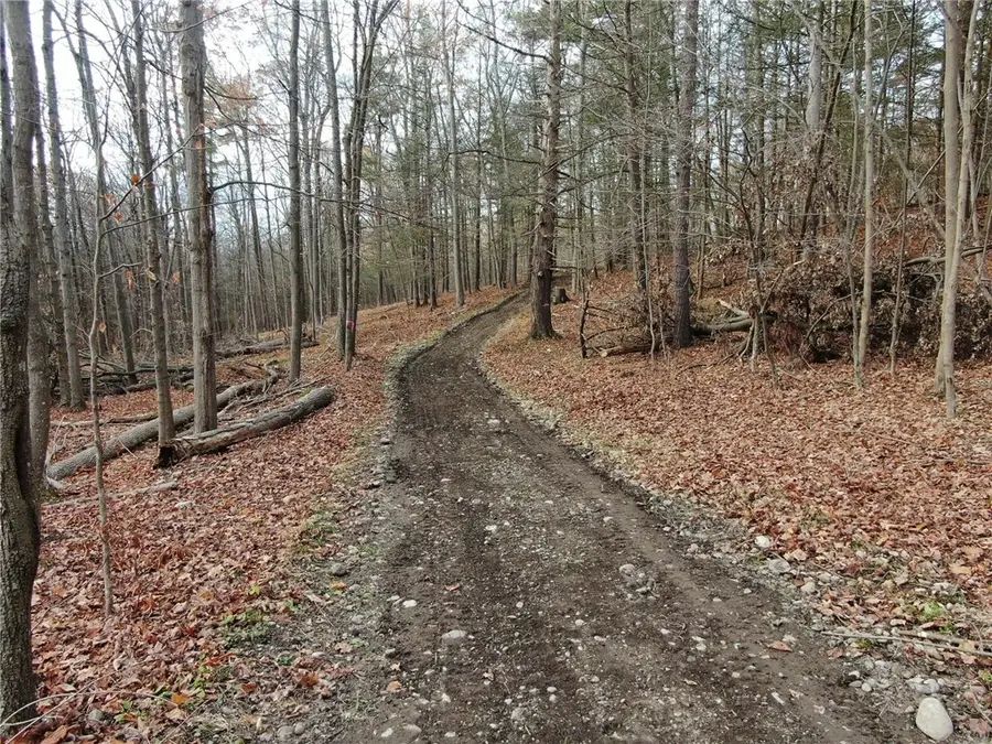 8302 Wesley Road, Honeoye, NY 14471 - Image #3