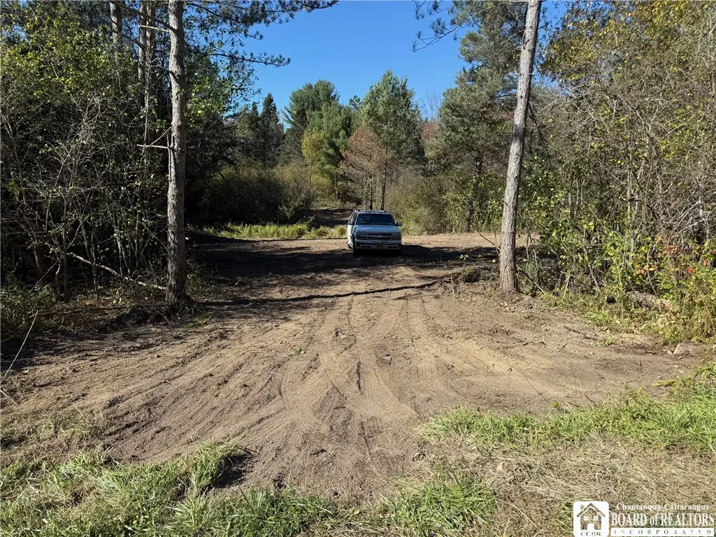 0 Cemetery Hill Road, Franklinville, NY 14737 - Image #1