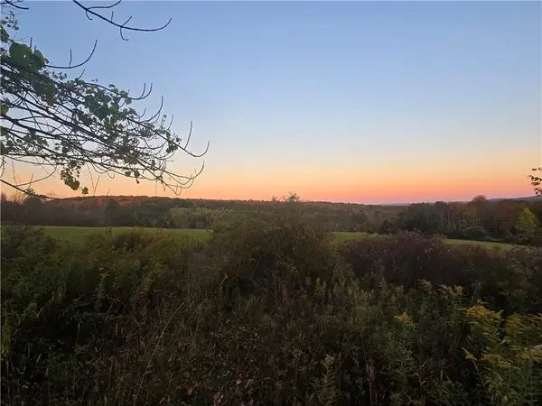 Hardknocks Road, Unadilla, NY 13849