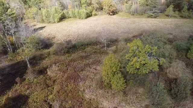 0 Baker Road, Butternuts, NY 13776 - Image #2