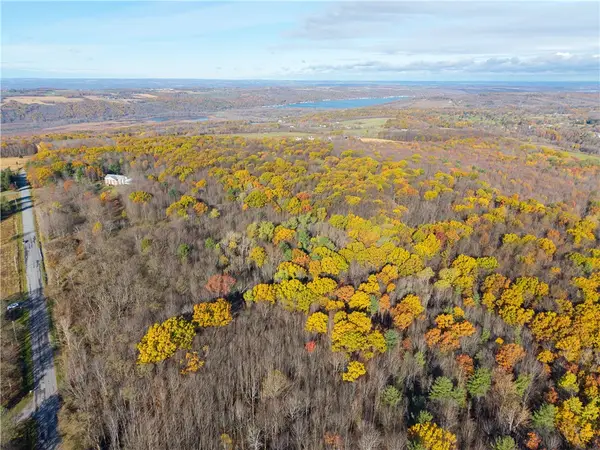 Camel Road, Conesus, NY 14435