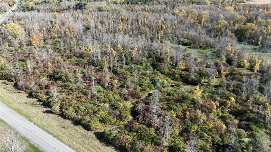 0 Morrison Road, Lyndonville, NY 14098 - Image #2