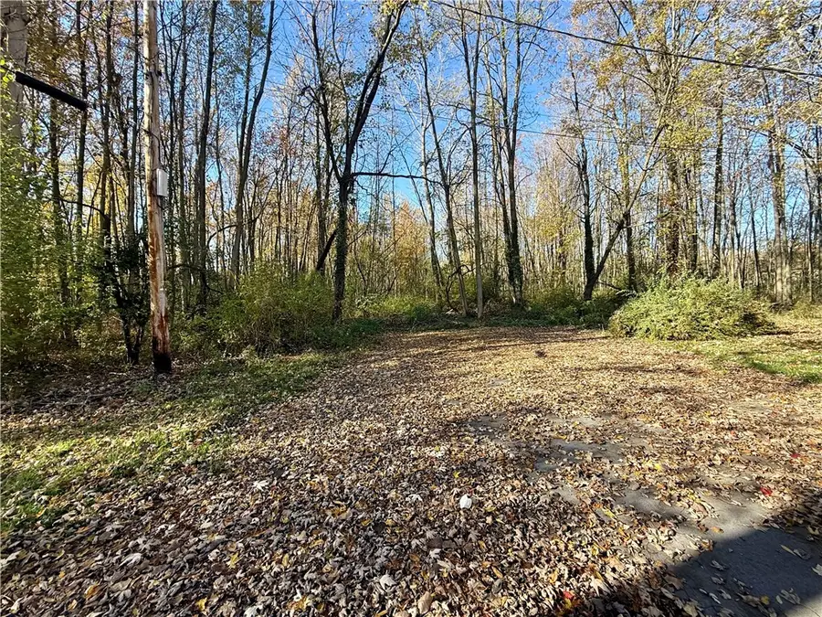 0 Butler Avenue, Seneca Falls, NY 13148 - Image #2