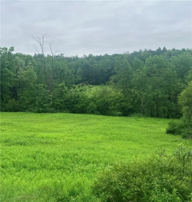 Lot 3 Oregon Road, Gilbertsville, NY 13776 - Image #3