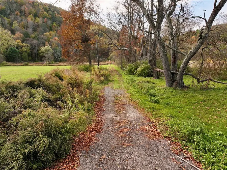 Gleason Hill Road, Spencer, NY 14883 - Image #2