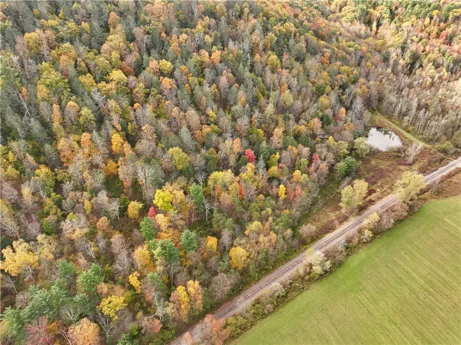 Gleason Hill Road, Spencer, NY 14883 - Image #3