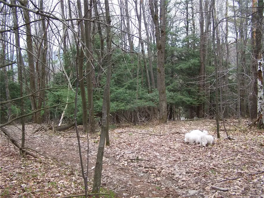 3604 Grandview Street, Binghamton, NY 13903 - Image #3