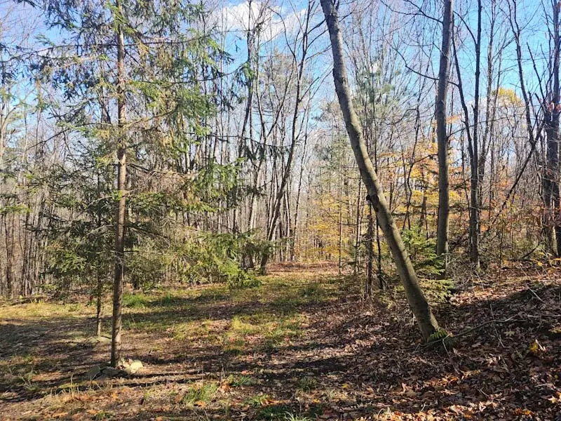 0 Thunder Mountain E, Springwater, NY 14560 - Image #2