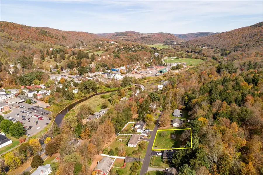 20 Park Place, Delhi, NY 13753 - Image #2