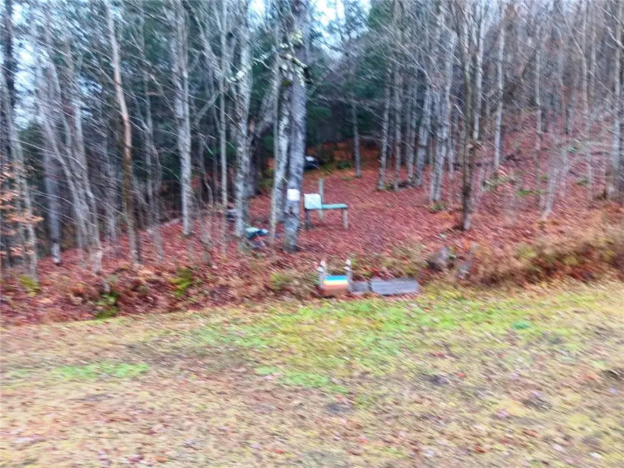 575 Hollenbeck Road, Worcester, NY 12197 - Image #3