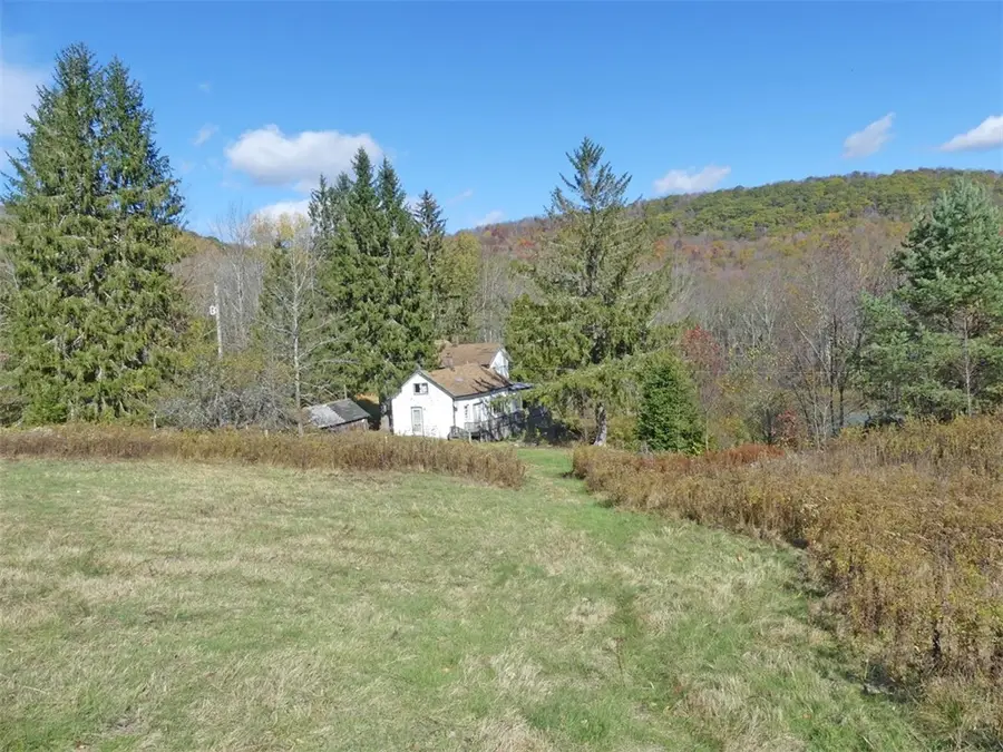 606 Bussey Hollow Road, Andes, NY 13731 - Image #2