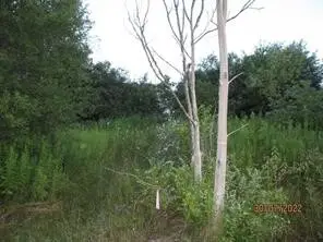 0 Daniels Road, South Plymouth, NY 13844 - Image #1