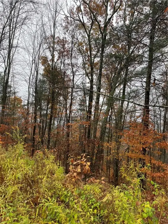 16 Silver Mine Road, Blenheim, NY 12093 - Image #2