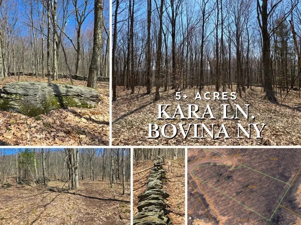 Lot 25 Kara Lane, Bovina Center, NY 13740 - Image #1
