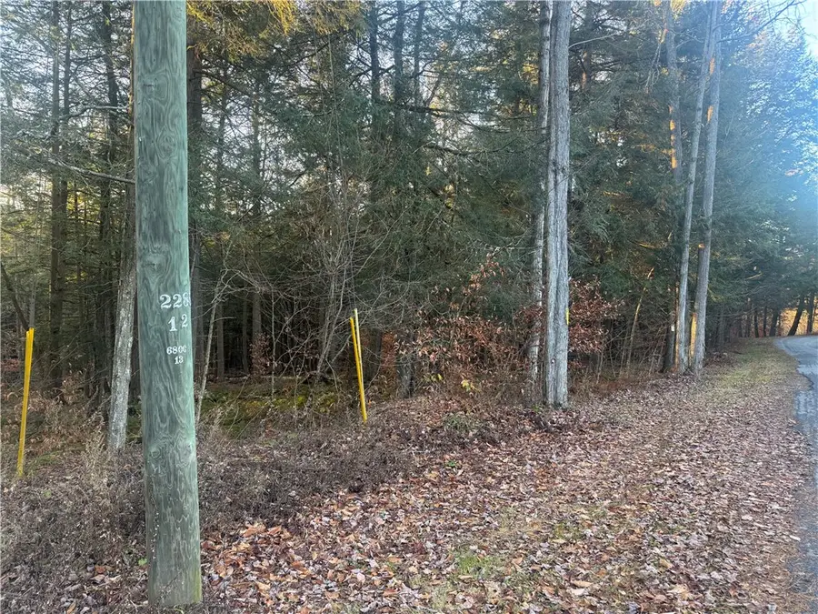 Thorpe Hill Road, Sidney, NY 13838 - Image #2