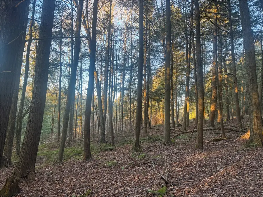 Thorpe Hill Road, Sidney, NY 13838 - Image #3