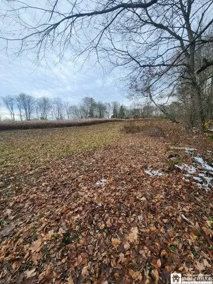 1723 Manchester Road, Jamestown, NY 14701 - #2