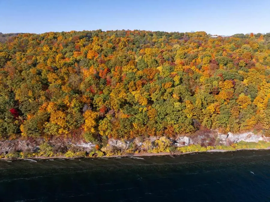 Lot 3 Elm Road, Dundee, NY 14837 - Image #3