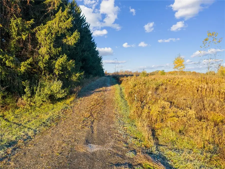 0 Cook Road, Trumansburg, NY 14886 - Image #2