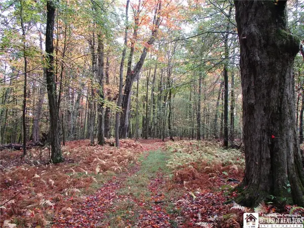 Salt Rising Road, Bolivar, NY 14715