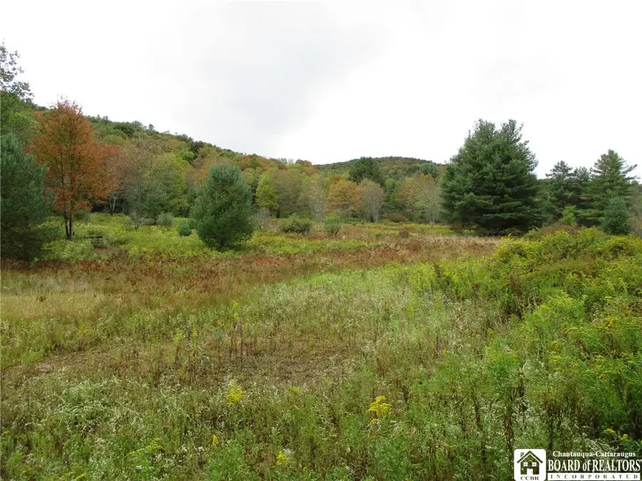 Salt Rising Road, Bolivar, NY 14715 - Image #2