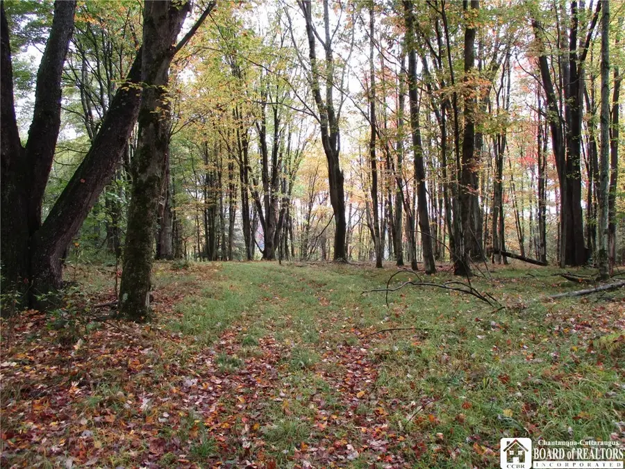 Salt Rising Road, Bolivar, NY 14715 - Image #3