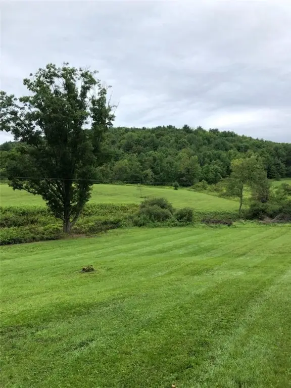 39 Sherman Hill Road, Sidney Center, NY 13839 - Image #2