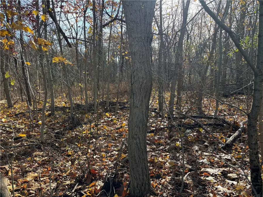 9946 County Route 76, Hammondsport, NY 14840 - Image #3