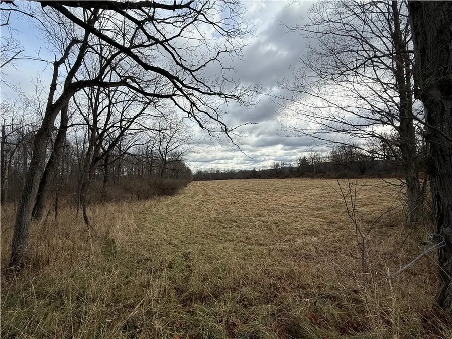 Caswell Road, Freeville, NY 13068 - Image #2