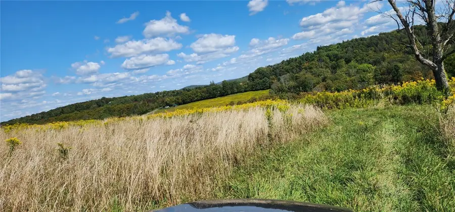 212-A Hill Road, Danby Town, NY 14001 - Image #3