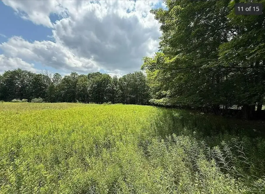 125 Dimmick Mountain Road, Middletown, NY 12455 - Image #3