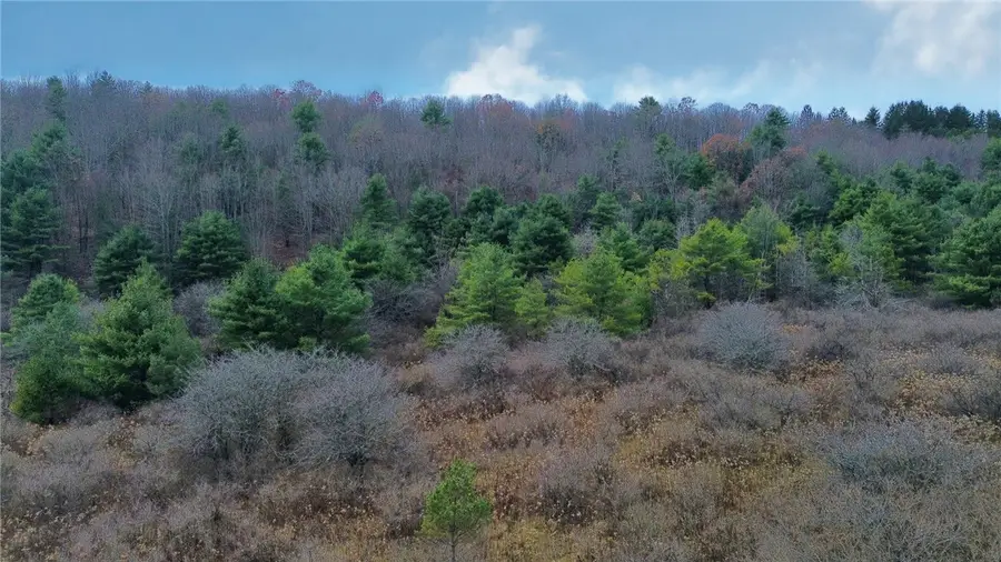 296 Hugg Road, Baldwin, NY 14901 - Image #3