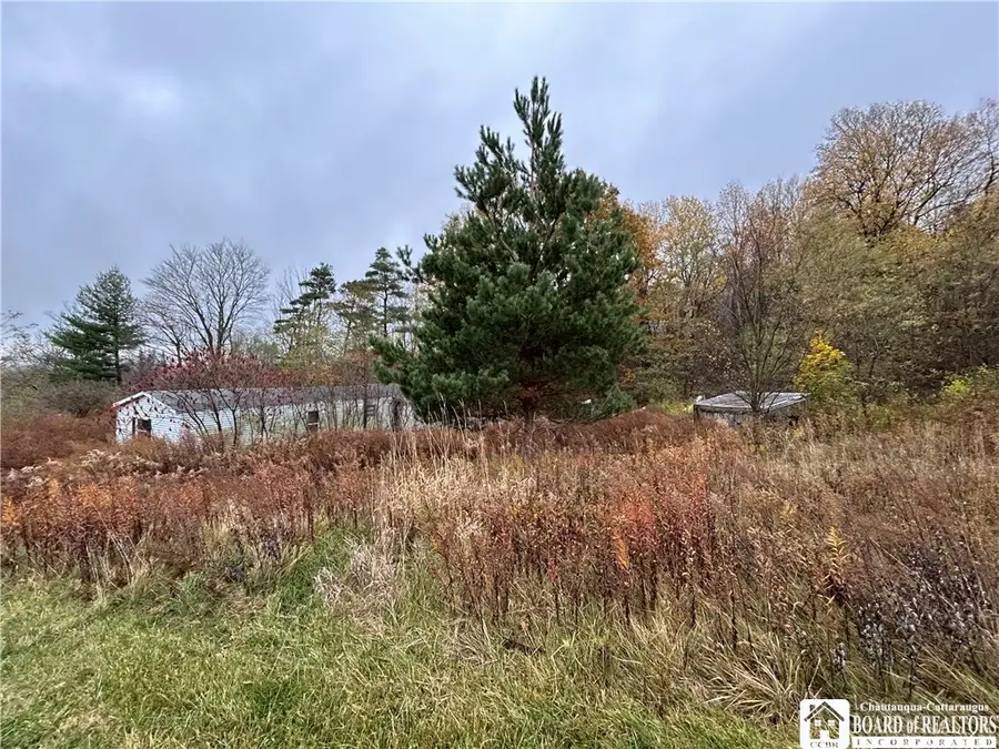 6376 Cemetery Road, Ripley, NY 14775 - Image #3