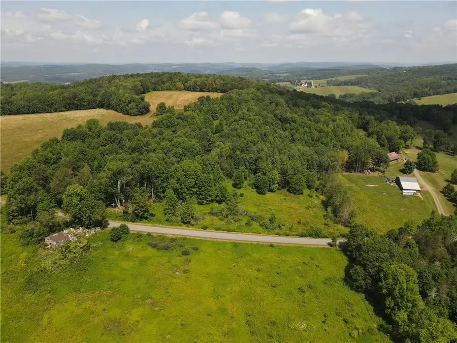 Ramey Road, Pittsfield, NY 13411 - Image #2