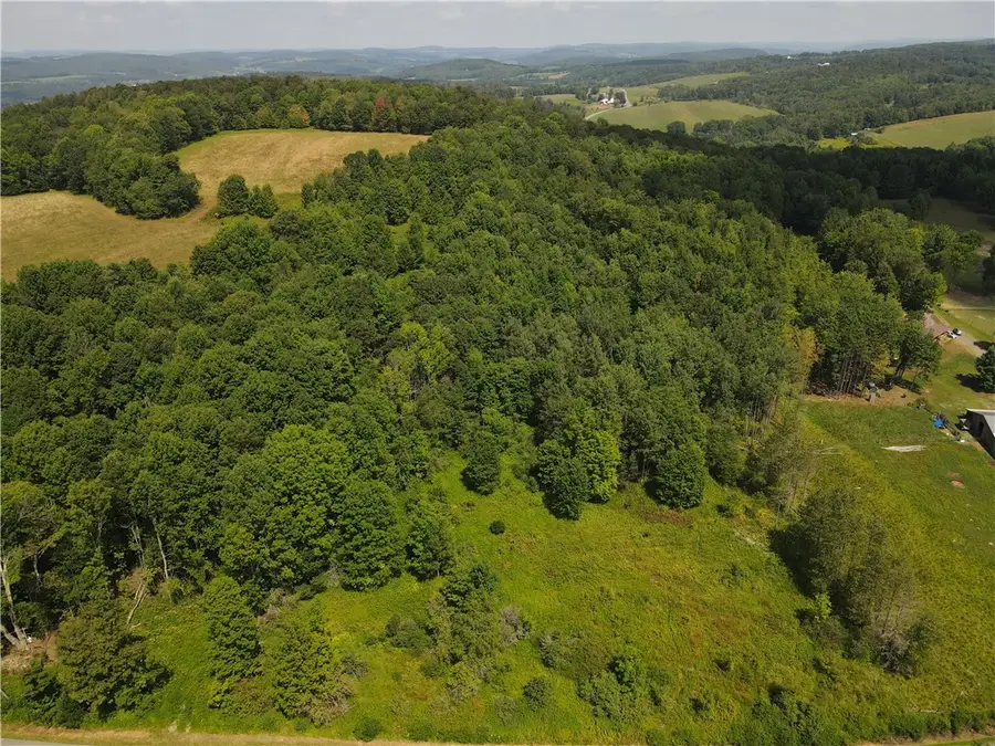 Ramey Road, Pittsfield, NY 13411 - Image #3