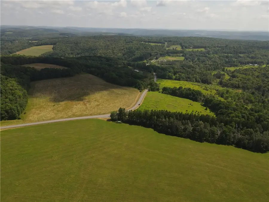 Ramey Road, Pittsfield, NY 13411 - Image #2