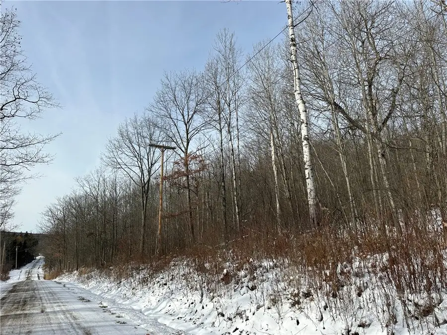 VL Linkletter Road, Arkport, NY 14807 - Image #2