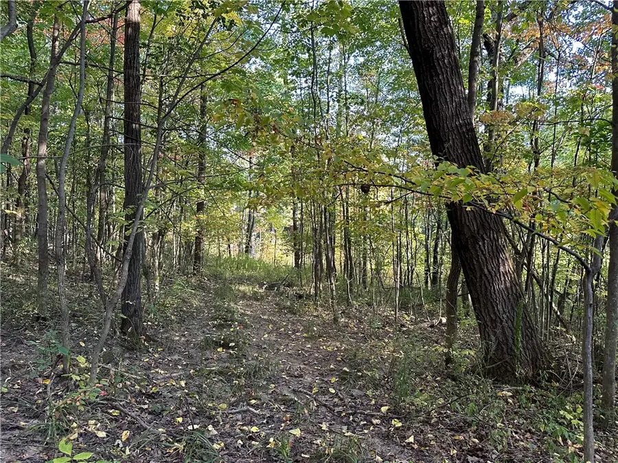 VL Linkletter Road, Arkport, NY 14807 - Image #3