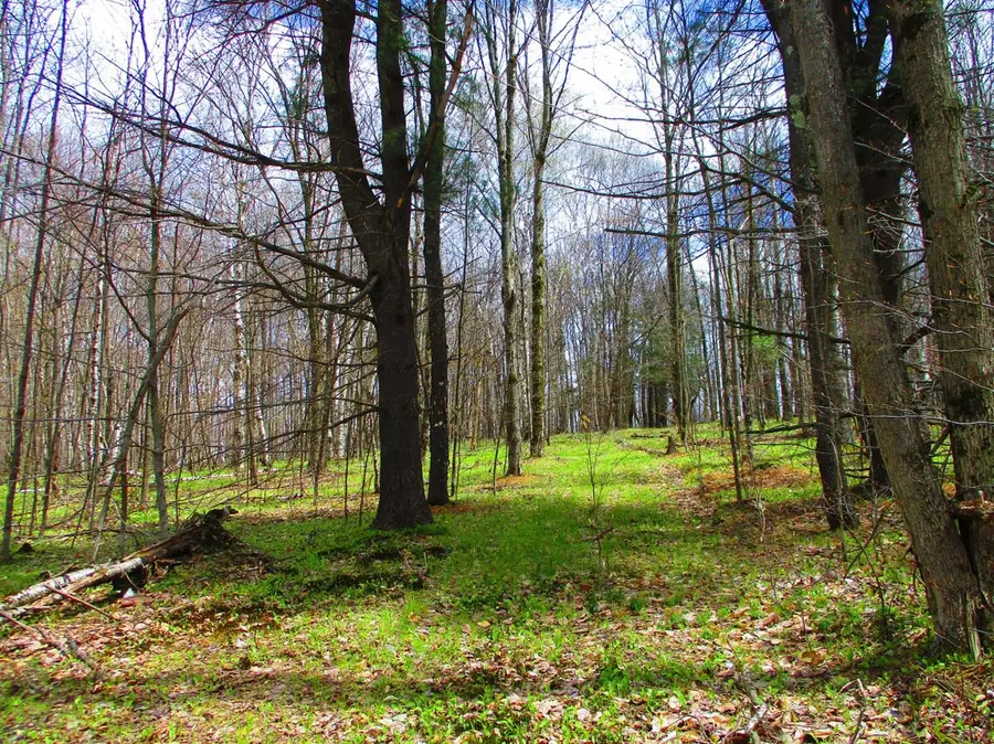 990 Smokey Avenue, Schenevus, NY 12155 - #2