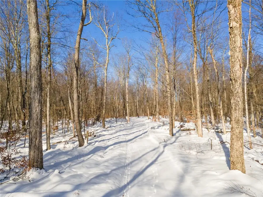 Hollenbeck Road, Worcester, NY 12197 - Image #3